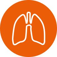 icon-lung.png